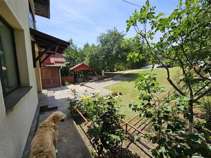 Casa Afrento Villa Patarlagele Exterior photo